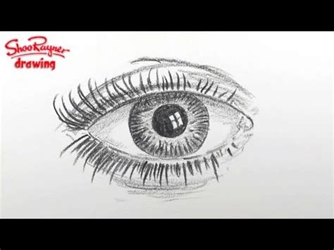 How to draw an eye, step by step. How to draw an eye - spoken tutorial - YouTube