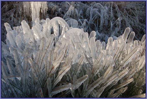 Der orkan sabine sorgt ab sonntagmittag in deutschland vermutlich für große schäden. Wintereindrücke 2008 nach dem Sturm Kyrill Foto & Bild ...