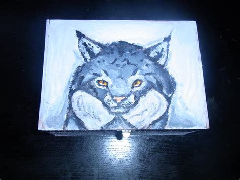 Canadian Lynx Box By Arcticicewolf On Deviantart