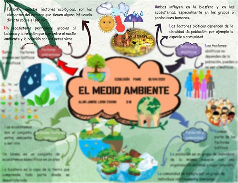 Mapa Conceptual Y Mental Medio Ambiente The Best Porn Website