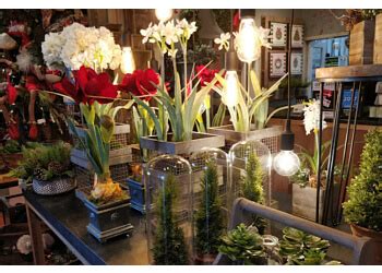 Contact flowers made unique in midland on weddingwire. 3 Best Florists in Midland, TX - Expert Recommendations