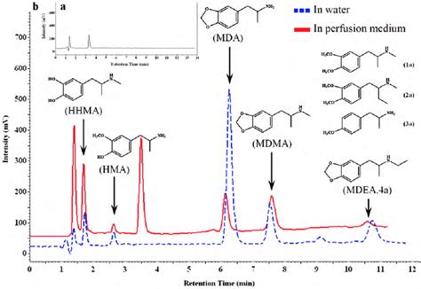 The liver is an organ only found in vertebrates which detoxifies various metabolites, synthesizes proteins and produces biochemicals necessary for digestion and growth. (a) The HPLC/FL chromatogram of the blank perfusion medium which was... | Download Scientific ...