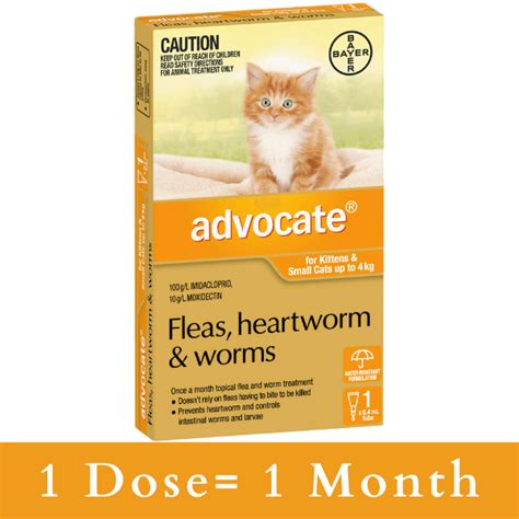 Buy Advocate For Kittens And Small Cats Up To 4kg Orange Fleas
