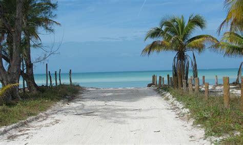 De acuerdo al comunicado emitido por la dirección del cuadro tricolor, los. Turismo en Isla Holbox, México 2021: opiniones, consejos e ...