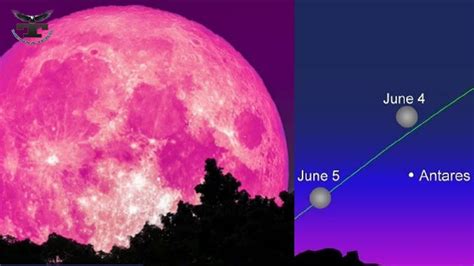 Es la luna llena que corresponde al mes de abril. Luna rosada junio 2020: ¿en qué países y cuándo se podrá ...