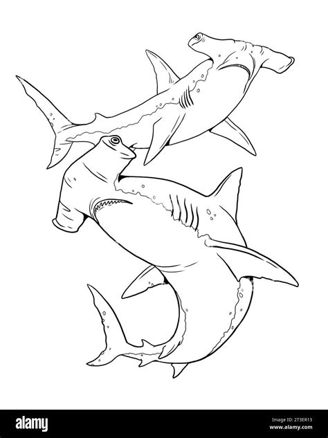 Hammerhead shark to color in. Template for a coloring book with sea