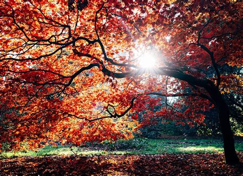 El ocaso, el momento en que el sol empieza a esconderse tras el horizonte, llega cada día antes. ¿Cuándo empieza el otoño 2019?