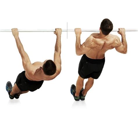 Bodyweight Or Inverted Row Bodybuilding Wizard