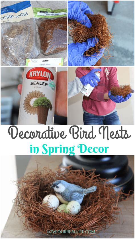 How To Make Diy Birds Nests For Spring Decor Spring Diy Bird Nest