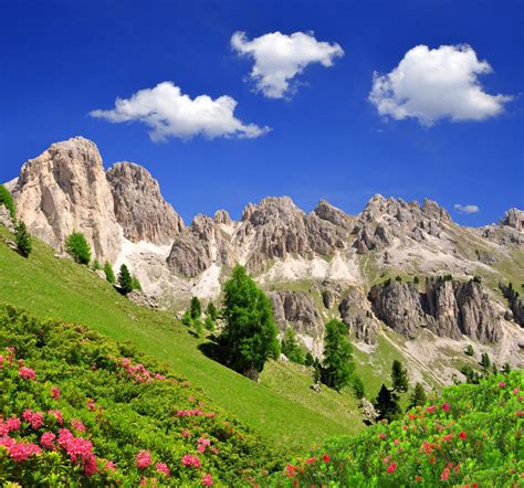 Rosen garten saga chapter 10. Rosengarten - Latemar