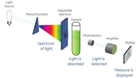 • the density, shape, or size of the product. Schematic diagram of Spectrophotometer | Download ...