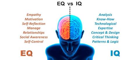 8 Signs Of High Emotional Intelligence