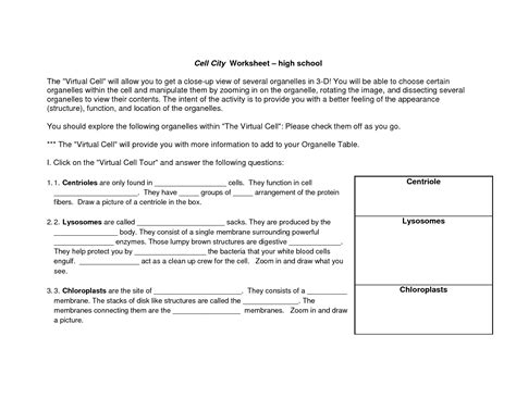 It helps in the synthesis and transport of chemical compound from and into. 17 Best Images of Cell Organelle Worksheet.pdf - Cell ...