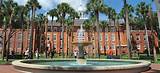 Images of University Of Florida Online High School