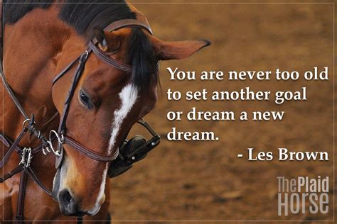 20 Motivational Quotes To Use At The Barn The Plaid Horse Magazine