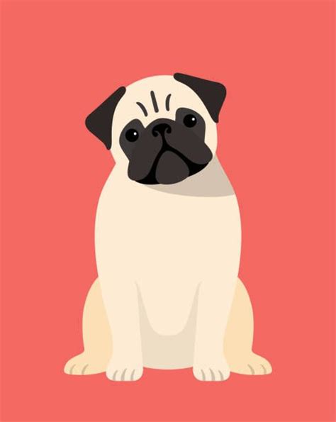 6844 Pug Dog Illustrations Royalty Free Vector Graphics And Clip Art