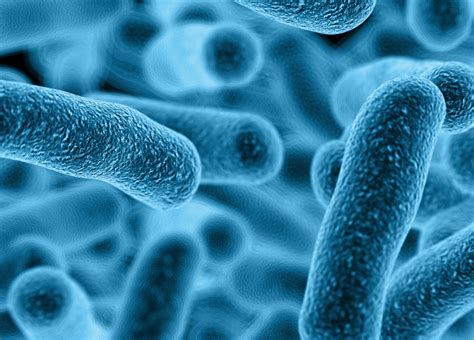 Legionnaires' disease is a serious type of pneumonia caused by legionella bacteria. Wat is legionella precies en moet u er bang voor zijn ...