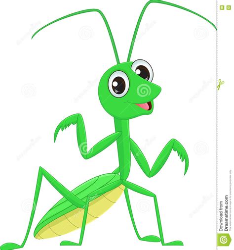 Cute Praying Mantis Grasshopper Cartoon Vector Illustration