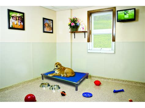 We did not find results for: Westfield Veterinarian Group announces pet boarding ...