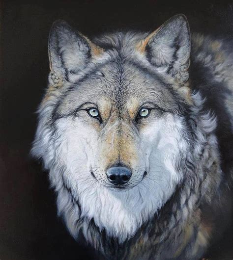 99 Best Images About Wolf Art On Pinterest Wolves A Wolf And