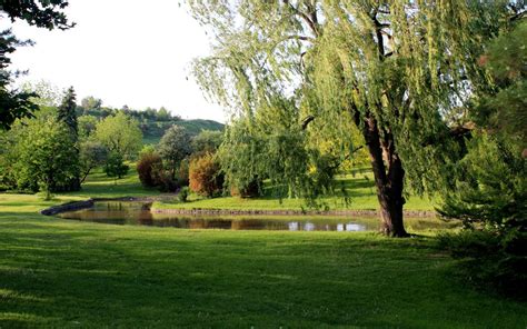 The meaning and symbolism of the word - «Park»