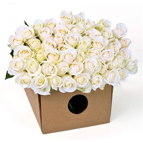 Maybe you would like to learn more about one of these? Roses - White (200 Stems) - Sam's Club | Sams club flowers ...