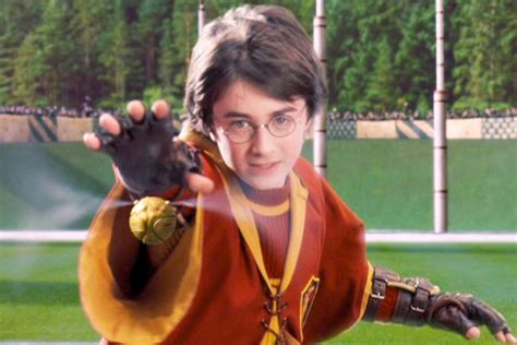 Top 10 Hogwarts Quidditch Players Hobbylark