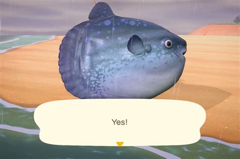 Animal Crossing New Horizons New Fish Bugs And Sea Creatures To