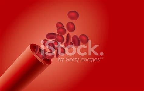 Blood Vessel Stock Photo Royalty Free Freeimages