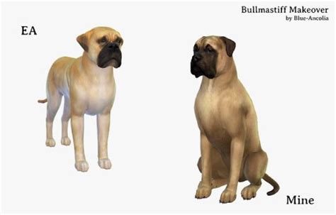 Download Blue Ancolia Sims 4 Pets Bull Mastiff Loyal Dogs