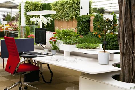 Natural Green Office Ideas Homesfeed