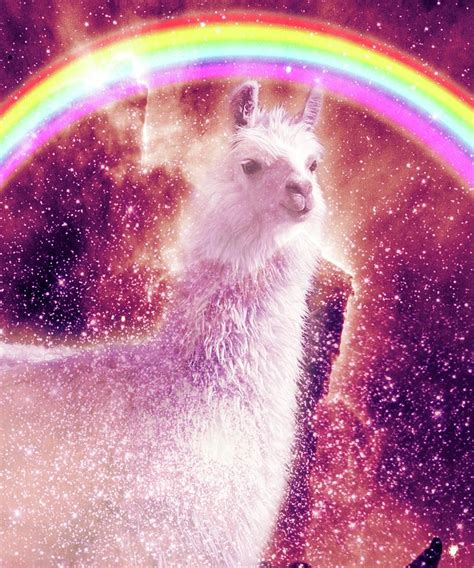 Rainbow Llama Llama Spirit Digital Art By Random Galaxy Pixels