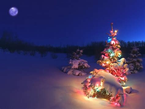 Free Download Wallpapers Christmas Tree Glowing At Night In Snow