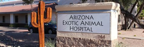 300 or more survey response rate: Arizona Exotic Animal Hospital | Veterinary care for ...