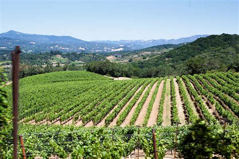 Zellerbach, once ambassador to italy during the eisenhower administration, created hanzell in 1948. Hanzell Vineyards in Sonoma Valley - Wine Country Getaways