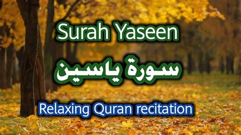 Surah Yaseen Heart Of The Quran Relaxing Quran Recitation Youtube