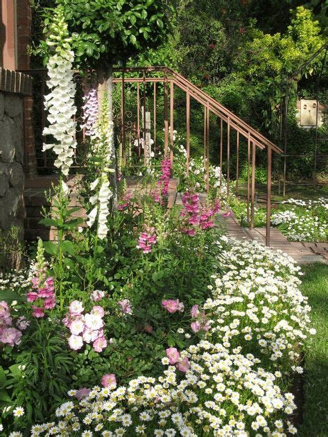 520 Cottage Garden Zone 9 Ideas In 2021 Cottage Garden Garden Plants