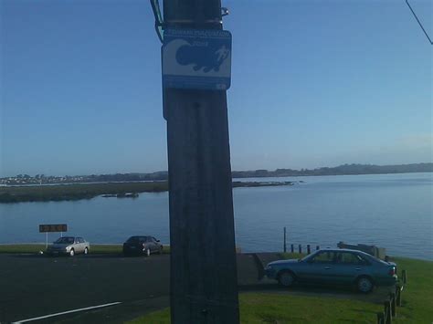 In new zealand, workers, students and residents in areas like northland and bay of plenty were being assisted by civil defence officials after authorities warned tsunami waves could reach three metres. Possible NZ arrive times for tsunami | WeatherWatch - New Zealand's Weather News Authority