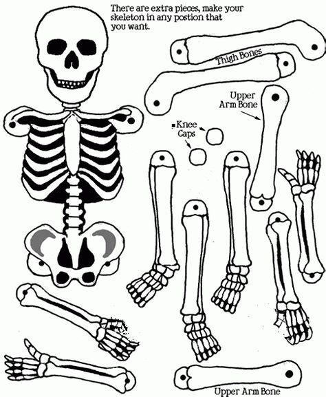 Esqueleto Humano Para Imprimir Y Armar Articulado Imagui Esqueletos