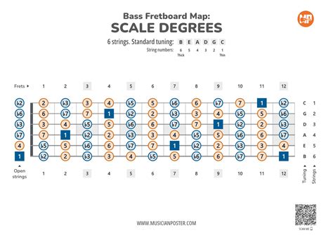 6 String Bass Printable Fretboard Chart With Scale Degrees