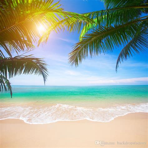 2019 Tropical Beach Photography Backdrop Green Palm Tree