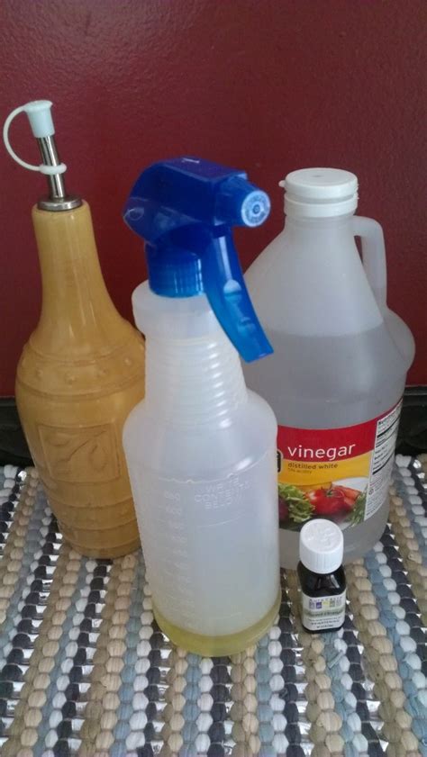 And it is safe to use on any closed grain leather. Bring that Leather back to life...DIY Leather Cleaner ...