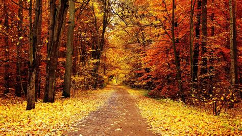 Autumn Pathway Wallpapers Wallpaper Cave