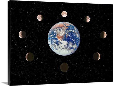 Composite Image Of The Phases Of The Moon Wall Art Canvas Prints