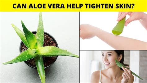 Can Aloe Vera Help Tighten Skin Youtube