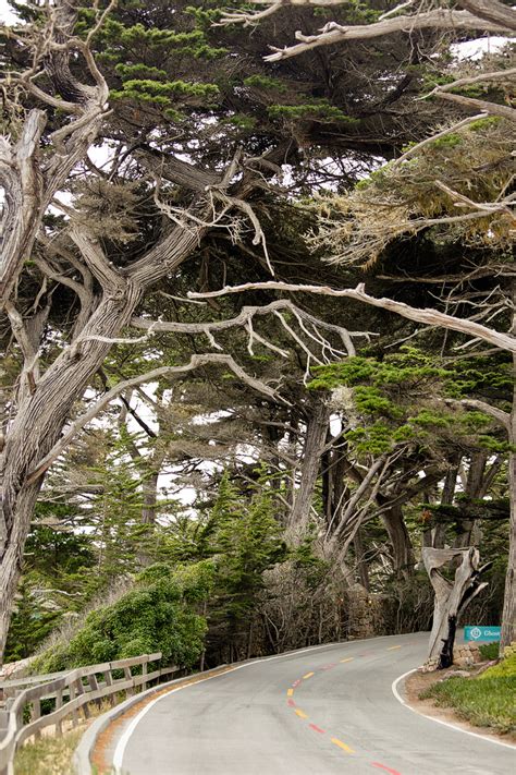 A Quick Guide To The 17 Mile Drive Monterey Trip Giveaway