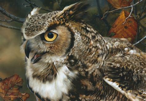 In Focus Great Horned Owl Portrait By Wildlife Artist Carl Brenders