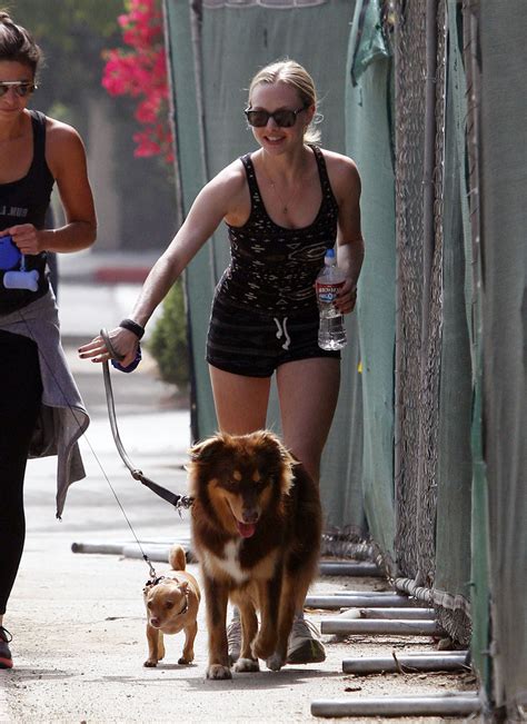 아만다 사이프리드 개와함께 산책 중 해외 연예가 소식 네모판