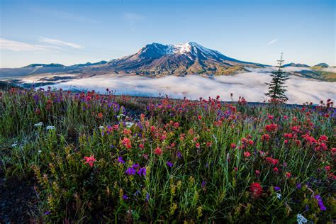 Mount Saint Helens National Volcanic Monument