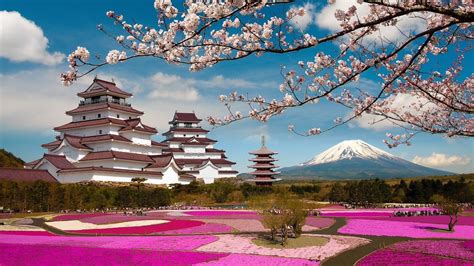 Jardines de Japón | Beautiful landscape wallpaper, Cherry blossom